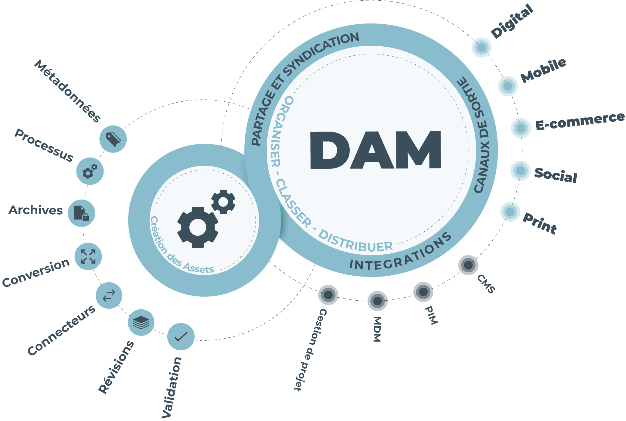 Qu’est ce qu’un DAM en dix points
